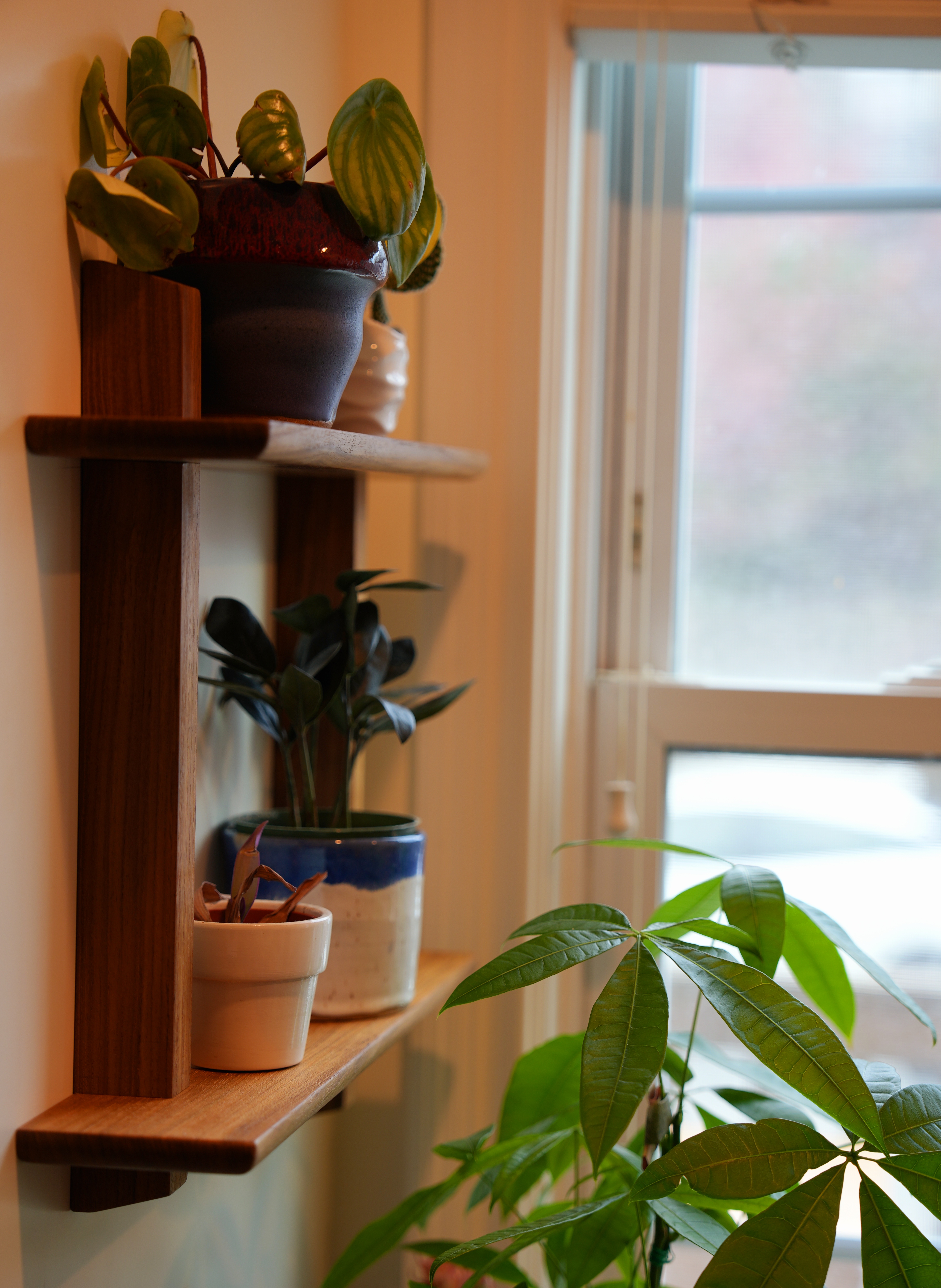 Teak Plant Shelf
